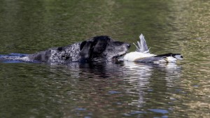 IMG_8277