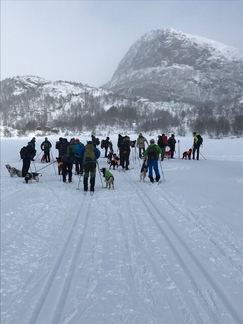 SIRDAL VINTER II – 2023 (oppdatert 25.03.23)